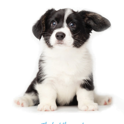 Adorable Dogs 2026 A5 Padded Diary