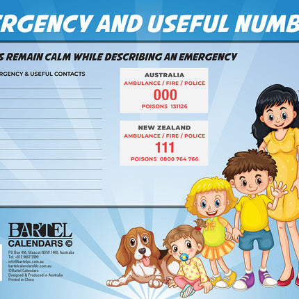 Family Organiser 2026 Rectangle Wall Calendar