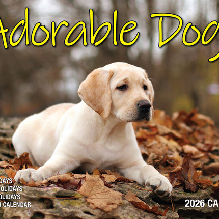 Adorable Dogs 2026 Rectangle Wall Calendar