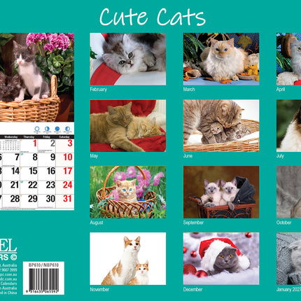 Cute Cats 2026 Rectangle Wall Calendar