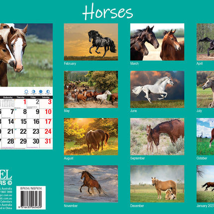 Horses 2026 Rectangle Wall Calendar