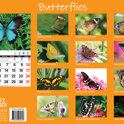 Butterflies 2026 Rectangle Wall Calendar