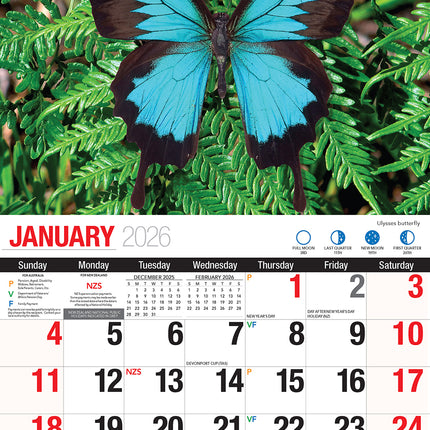 Butterflies 2026 Rectangle Wall Calendar
