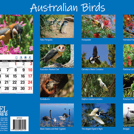 Australian Birds 2026 Rectangle Wall Calendar