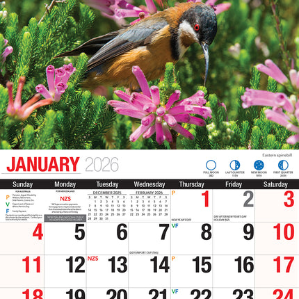 Australian Birds 2026 Rectangle Wall Calendar