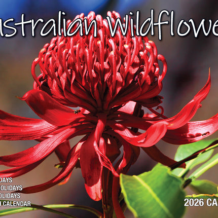 Australian Wildflowers 2026 Rectangle Wall Calendar