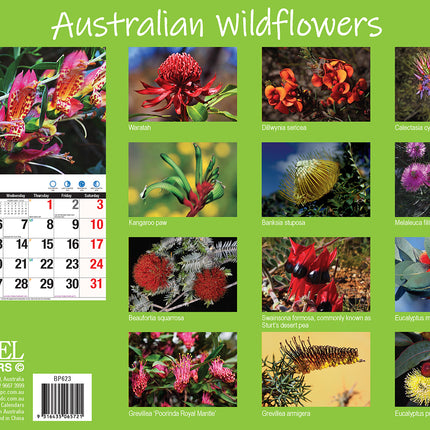 Australian Wildflowers 2026 Rectangle Wall Calendar