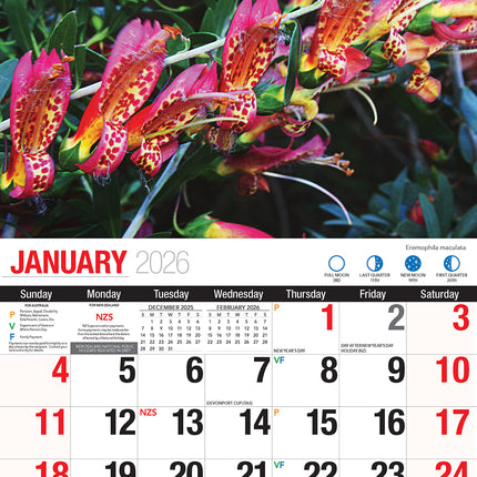 Australian Wildflowers 2026 Rectangle Wall Calendar