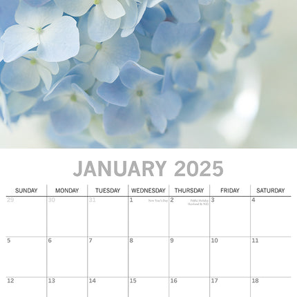 Beauty of Flowers 2025 Square Wall Calendar Floral 16-Month Premium Planner Gift