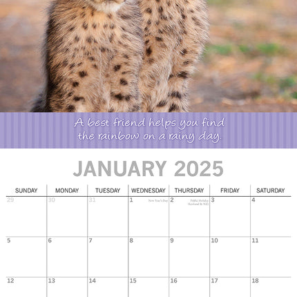 Best Friends - 2025 Square Wall Calendar Pets Animals 16 Months Premium Planner