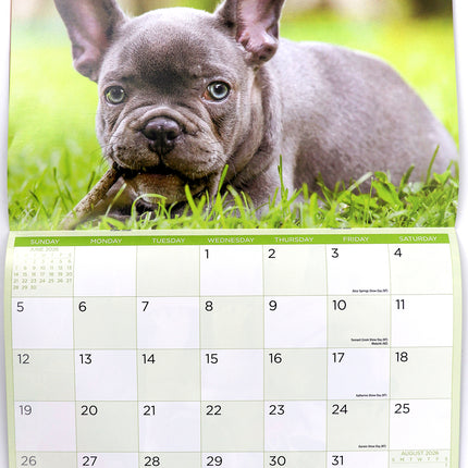 Dogs And Puppies - 2026 Rectangle Wall Calendar 16 Months Hanging Animal Planner