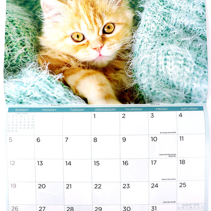 Cats And Kittens - 2026 Rectangle Wall Calendar 16 Months Hanging Animal Planner