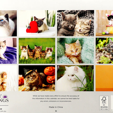 Cats And Kittens - 2026 Rectangle Wall Calendar 16 Months Hanging Animal Planner