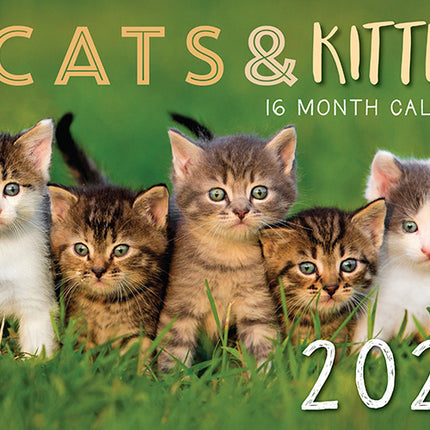 2026 Cats & Kittens Rectangle Wall Calendar