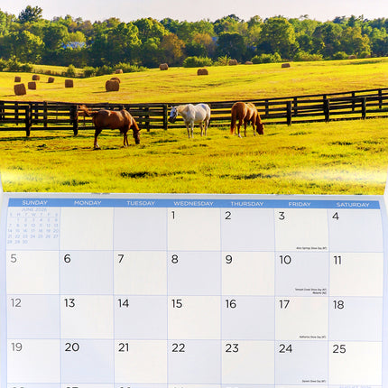 Country Living - 2026 Rectangle Wall Calendar 16 Months Hanging Planner Gift