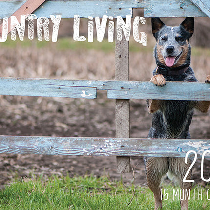 2026 Country Living Rectangle Wall Calendar