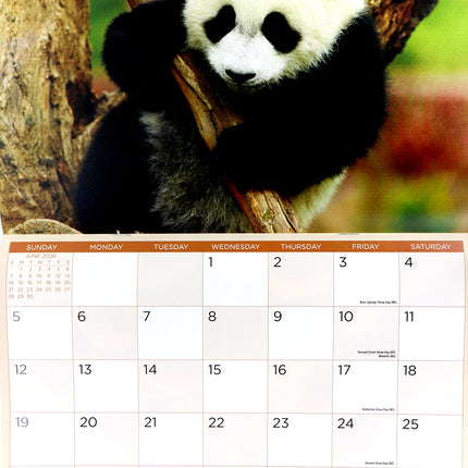 Baby Animals - 2026 Rectangle Wall Calendar 16 Months Hanging Planner New Year