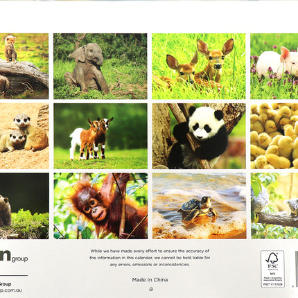 Baby Animals - 2026 Rectangle Wall Calendar 16 Months Hanging Planner New Year