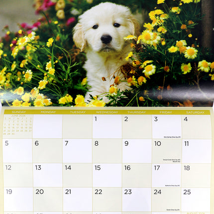 It's A Dog's Life - 2026 Rectangle Wall Calendar 16 Months Hanging Planner Gift