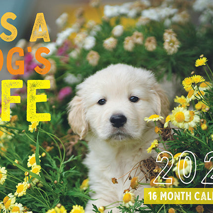 2026 It’s a Dog’s Life Rectangle Wall Calendar