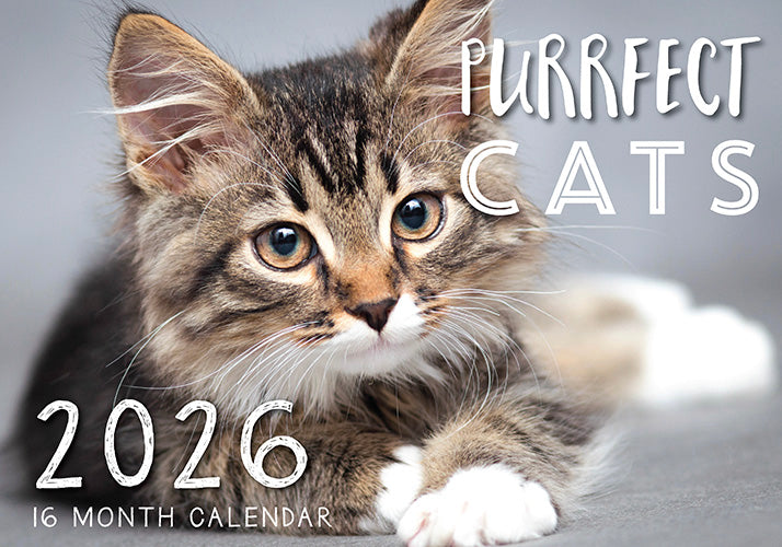 2026 Purrfect Cats Rectangle Wall Calendar