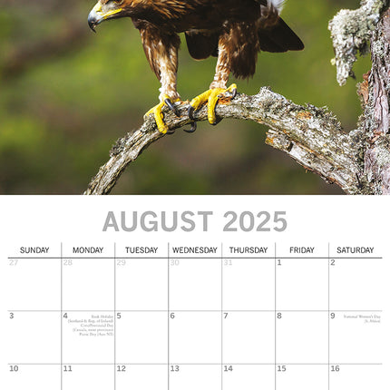 Country Wildlife - 2025 Square Wall Calendar Animals 16 Months Premium Planner