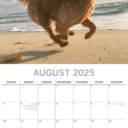 Dogs in the Wind - 2025 Square Wall Calendar Pets Animals 16 Months Planner Gift