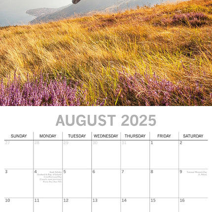 Mountain Biking 2025 Square Wall Calendar 16 Months New Year Xmas Planner Gift