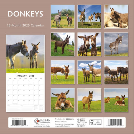 Donkeys 2025 Square Wall Calendar Animals 16 Month Premium New Year Planner Gift