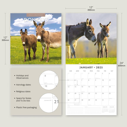 Donkeys 2025 Square Wall Calendar Animals 16 Month Premium New Year Planner Gift