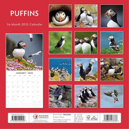 Puffins 2025 Square Wall Calendar Animals 16 Month Premium New Year Planner Gift