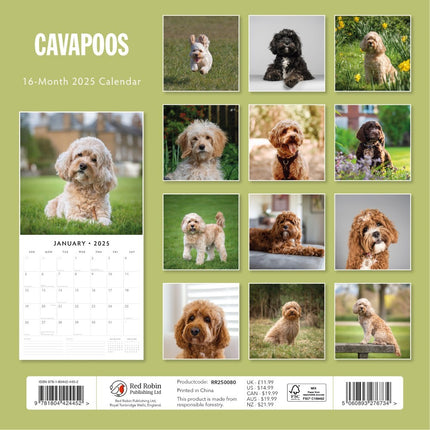 Cavapoos - 2025 Square Wall Calendar Animals 16 Months Premium New Year Planner