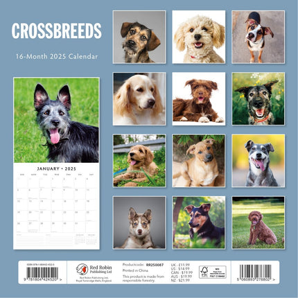 Crossbreeds - 2025 Square Wall Calendar Animals 16 Months Premium Planner Gift
