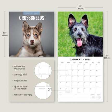 Crossbreeds - 2025 Square Wall Calendar Animals 16 Months Premium Planner Gift