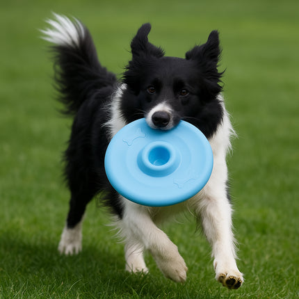 Dog Puppy Frisbee Throwing Flying Disc Pet Fetch Floating Training Toy