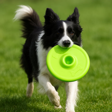 Dog Puppy Frisbee Throwing Flying Disc Pet Fetch Floating Training Toy