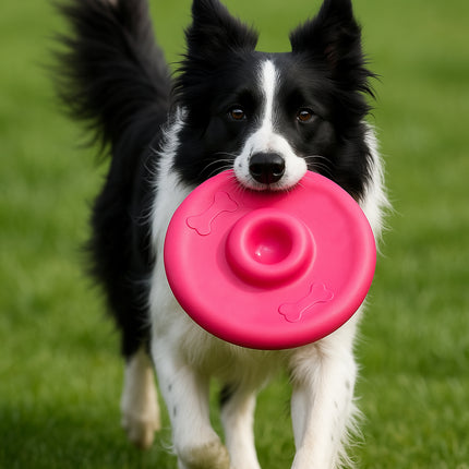 Dog Puppy Frisbee Throwing Flying Disc Pet Fetch Floating Training Toy
