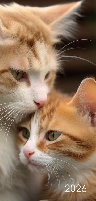 Cats And Kittens 2026 Pocket Diary