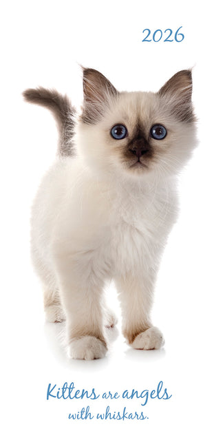 Cute Kittens 2026 Pocket Diary