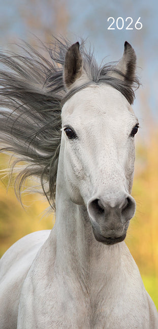 Horses 2026 Pocket Diary