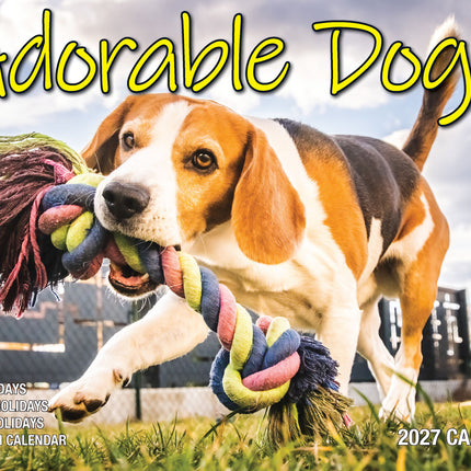 Adorable Dogs 2027 Rectangle Wall Calendar 16 Months Planner Cute Animal Photos image 1