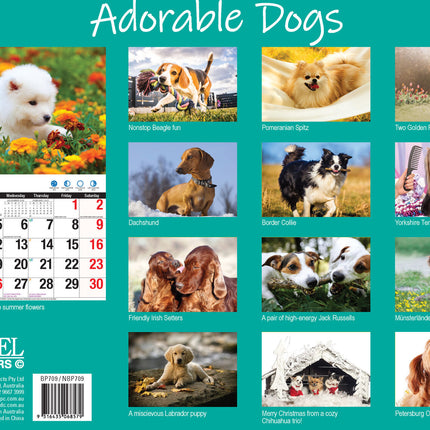 Adorable Dogs 2027 Rectangle Wall Calendar 16 Months Planner Cute Animal Photos image 2