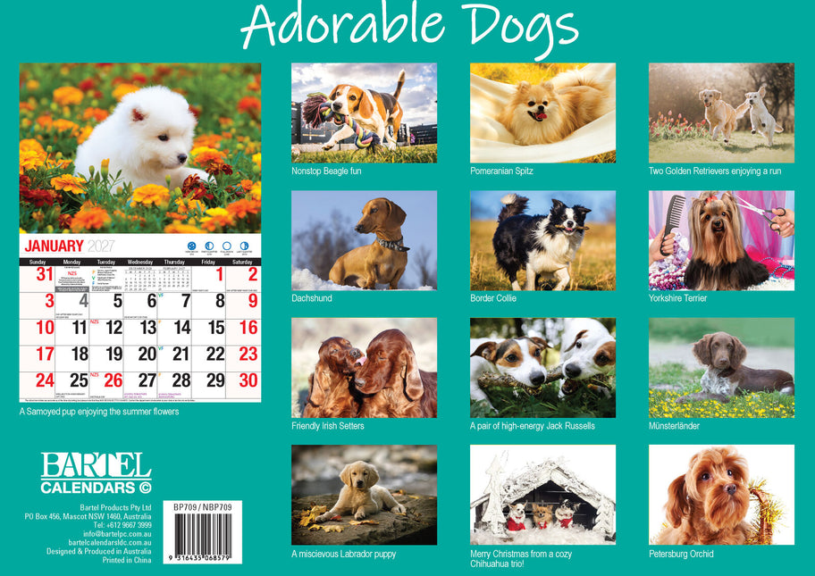 Adorable Dogs 2027 Rectangle Wall Calendar 16 Months Planner Cute Animal Photos image 2