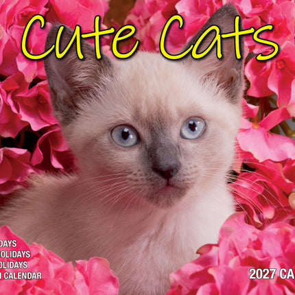 Cute Cats - 2027 Rectangle Wall Calendar 16 Months Planner Animal Pets Photos image 1