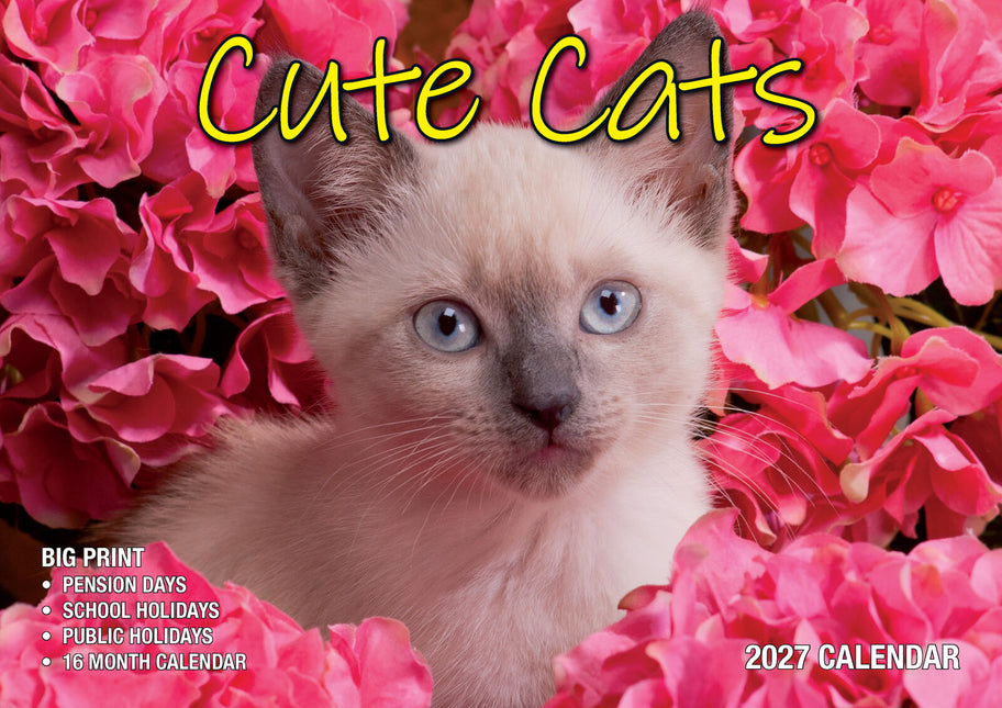 Cute Cats - 2027 Rectangle Wall Calendar 16 Months Planner Animal Pets Photos image 1