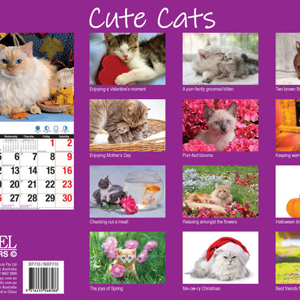 Cute Cats - 2027 Rectangle Wall Calendar 16 Months Planner Animal Pets Photos image 2