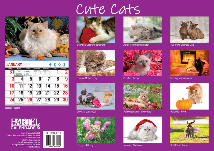 Cute Cats - 2027 Rectangle Wall Calendar 16 Months Planner Animal Pets Photos image 2
