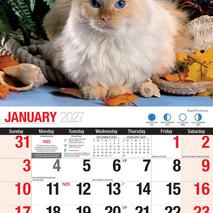 Cute Cats - 2027 Rectangle Wall Calendar 16 Months Planner Animal Pets Photos image 3