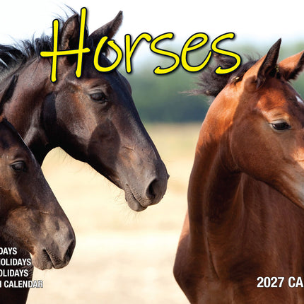 Horses - 2027 Rectangle Wall Calendar 16 Months Animal Pet Planner New Year Gift image 1