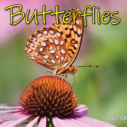Butterflies - 2027 Rectangle Wall Calendar 16 Months Colorful Butterfly Photos image 1